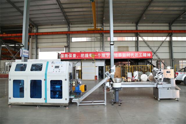 Expandable disposable compressed facial tissue making machine in Algeria